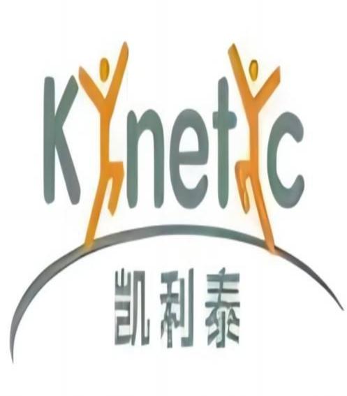 上海凯利泰医疗科技股份